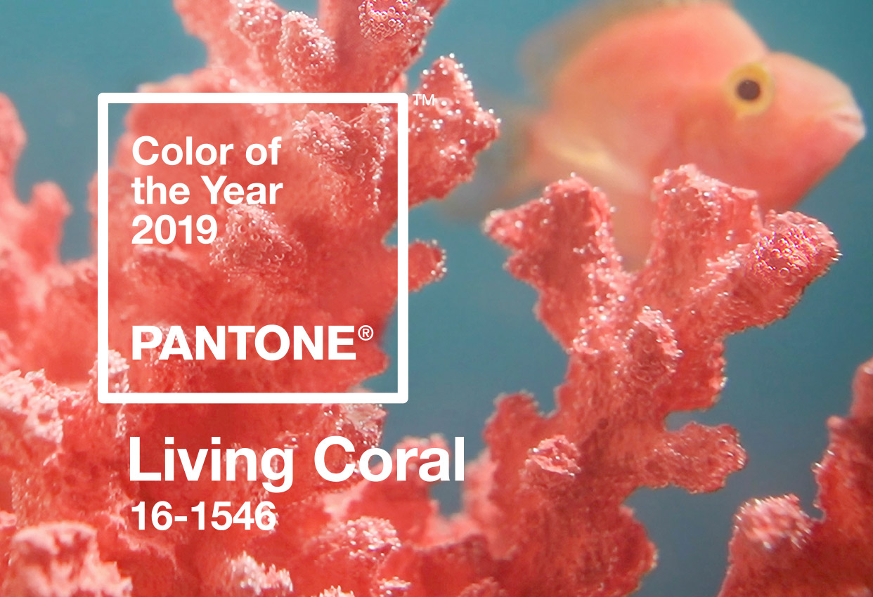 Pantone Living Coral Color of the Year 2019 (image by Pantone)