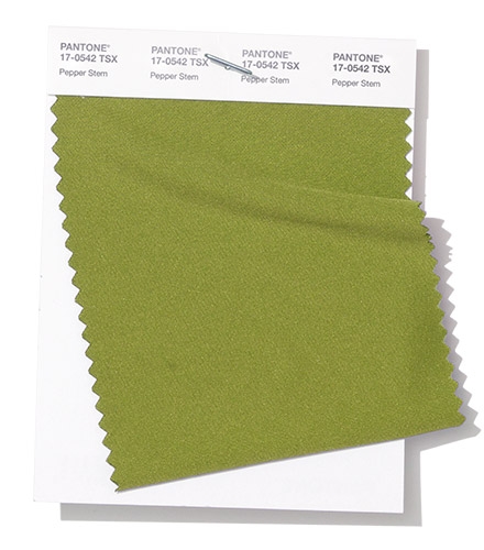 Pantone swatch Pepper Stem