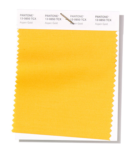 Pantone swatch Aspen Gold