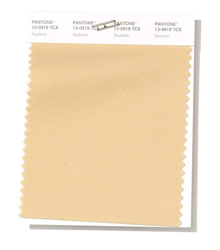 Pantone Swatch Soybean