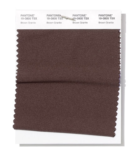Pantone Swatch Brown Granite
