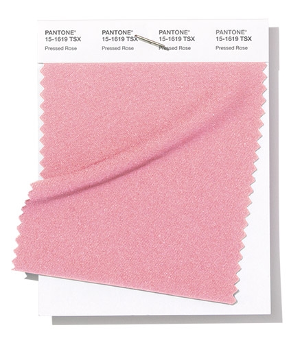 Pantone Swatch Pressed Rose