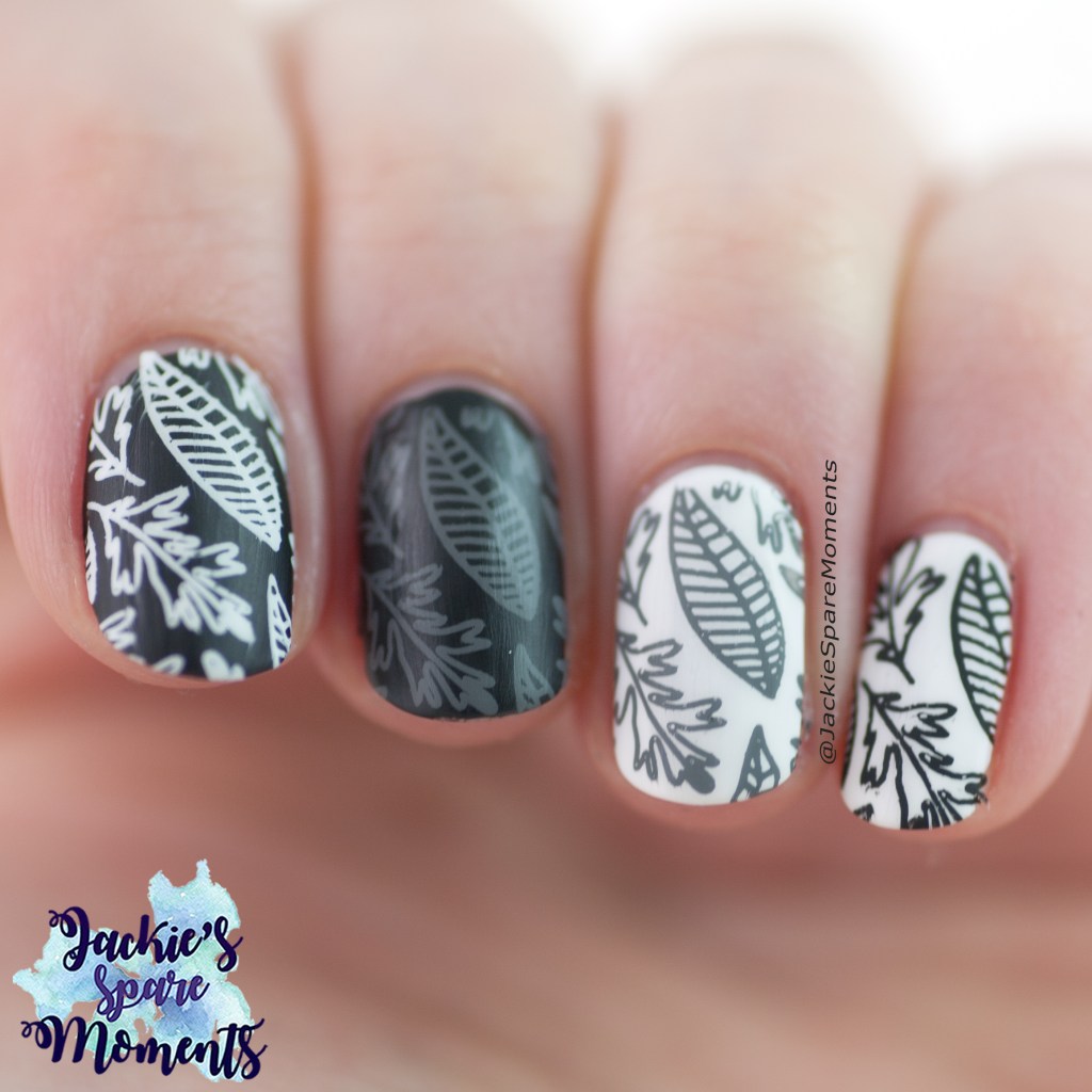 Monochrome fall leaves